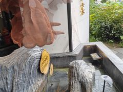 -院里寻菜·精致庭院菜(观沙岭店)