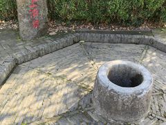 -上海佘山国家森林公园天马山园