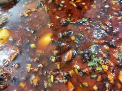 黑竹香鸡小锅-黑竹香鸡(营和巷店)