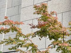 -第六空间家居电器超级Mall(西溪店)