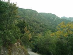 -阳台山自然风景区