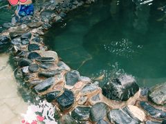 -春晖园度假酒店温泉