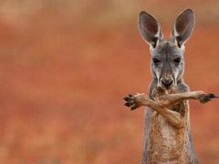 -能量健身私教工作室(1527店)