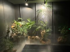 -恒生万鹂广场(唐镇店)