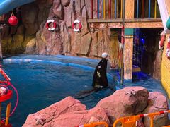 -烟台海昌鲸鲨海洋公园