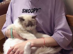 -藏猫猫咖啡主题馆(中央大道店)