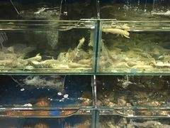 -海味当家·蒸锅海鲜(中山广场创始店)