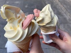 -麦当劳(小白楼店)