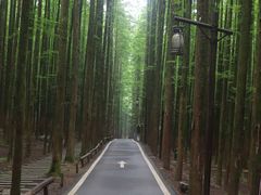 -山王坪喀斯特国家生态公园