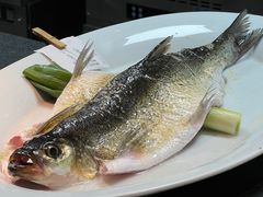 -丹江渔村(首都机场店)