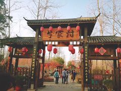 -合肥滨湖国家森林公园