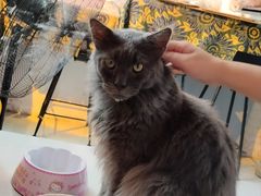 -平行世界·猫咖(首经贸店)