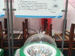 -贝壳王国博物馆