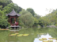 -云溪植物园