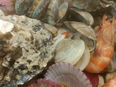-晓伟海鲜家常菜
