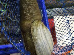 -旅南活海鲜-屏东(墾丁海鮮，海鮮餐廳，墾丁團體合菜，平價熱炒，墾丁熱炒店，活海鮮推薦，在地海鮮餐廳)