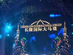 -广州长隆国际大马戏