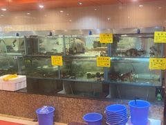 -天天渔港(杏林街店)