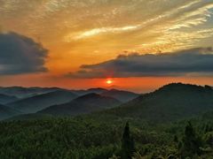 -武陵山森林公园