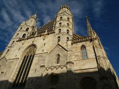 -斯蒂芬主教座堂(Stephansdom)