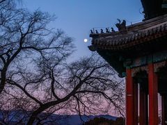 -故宫博物院(故宫)
