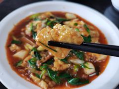 家常豆腐-曾氏肥肠馆(凯瑞雅居店)
