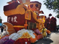-荷兰花海