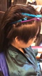-MYCOLORHARSALON