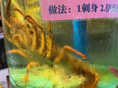 -荔城生鲜盛宴(番禺旗舰店)