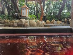 -泉眼温泉