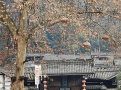 -雅安上里古镇