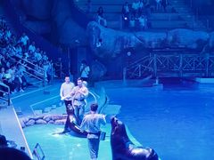 -芜湖新华联大白鲸海洋公园