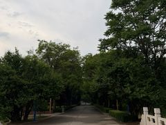 -森林公园(尖草坪区)