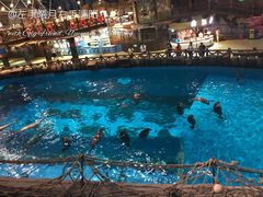 -海合安青岛极地海洋公园