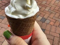 -富豪雪糕车流动点(尖沙咀店)