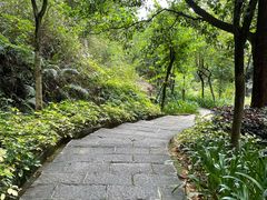 -广州白江湖森林公园