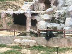 -清迈夜间动物园