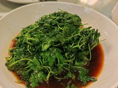 -新聚丰菜馆(太监弄店)