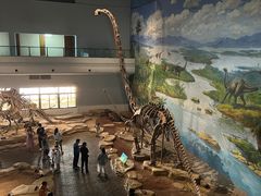 -自贡恐龙博物馆