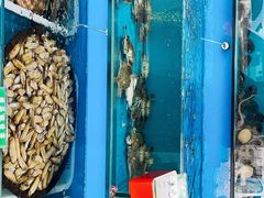 -港畔赶海蒸汽海鲜烧烤自助(仙螺岛店)