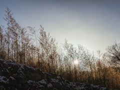 -龙庆峡风景区