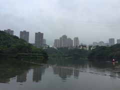 -重庆彩云湖湿地公园