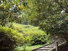 -南山风景名胜区