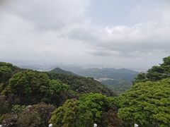 -梧桐山风景名胜区