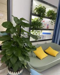-蕾特恩专业祛痘·皮肤管理