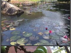-三亚亚龙湾人间天堂鸟巢度假村