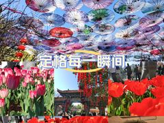 -上坐过桥米线(顺城店)