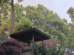 -南山植物园