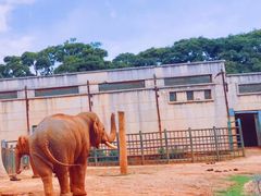 -昆明动物园