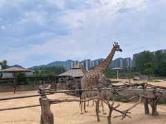 -杭州野生动物世界